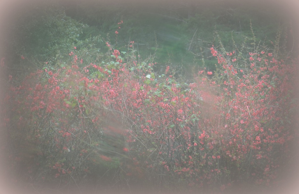 [home%2520and%2520travels_529%255B5%255D.jpg]