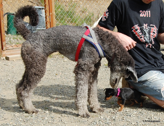 [DSC_6089%255B3%255D.jpg]
