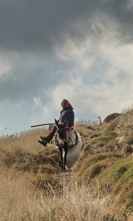[the-woman-and-the-donkey%255B6%255D.jpg]