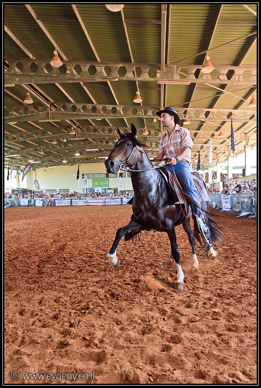 il/Фото: Stallion Show 2011 (20110416 stllion show 088 2394)