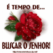 Exibir álbum Exibir álbum