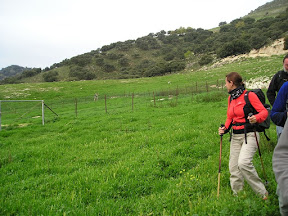 P1010029.JPG