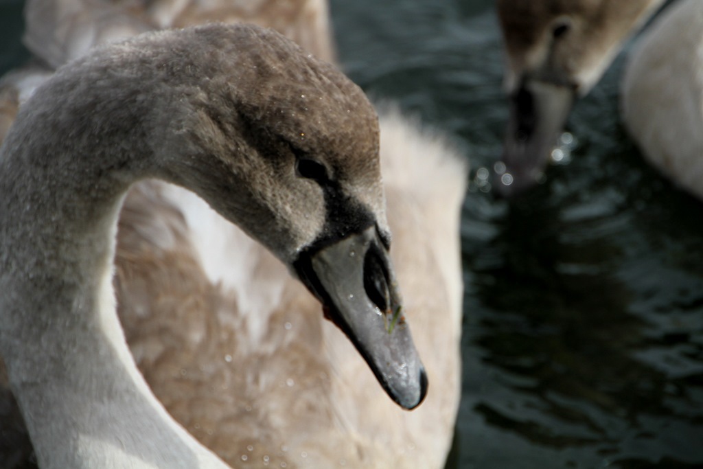 [IMG_9351%255B5%255D.jpg]