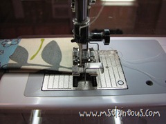 IMG_6478 IMG_6478
