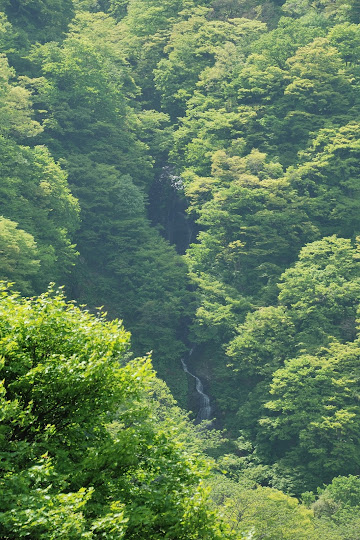 四十ヶ滝