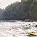 IMG_6437.JPG