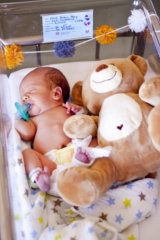 [carterbear3%255B4%255D.jpg]