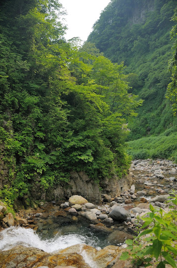 八反滝遊歩道