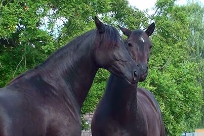 [20140911105813-%25282%2529%255B4%255D.jpg]