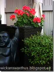 IMG_0303 IMG_0303