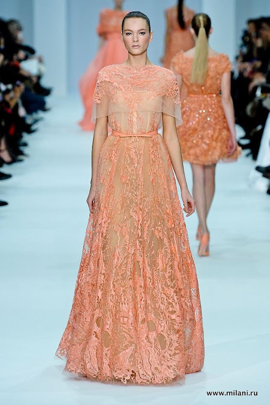 elie-saab-haute-couture-sprg-2012-pfw35.jpg