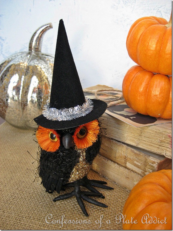 Target Witchy Owl Target Witchy Owl