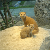 Kinderzoo Rapperswil Ostern 2007