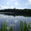 dsc03008.jpg