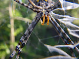 South Africa - 106.JPG