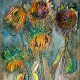 Sunflowers
Watercolour
12 x 9in
Aug 2011