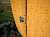 Excalibur: The World's Tallest Climbing Wall