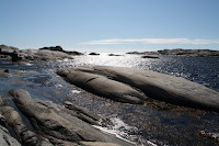 IMG_8332.jpg Photo