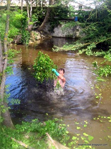 Pulling up submerged epiphytes