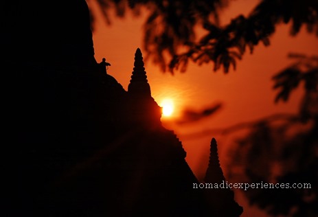 DSC_0737 DSC_0737