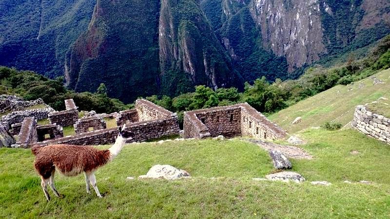 [Machu_Picchu_WP_20130706_0783.jpg]