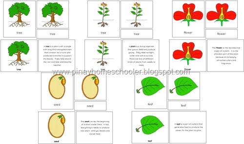 Botany Bundle Pack