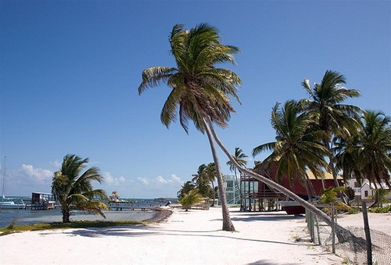Caye Caulker