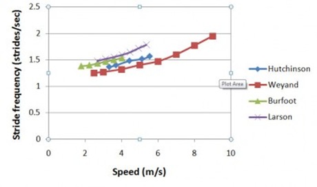 Hutchinson Graph