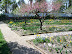 Mt Vernon in Spring