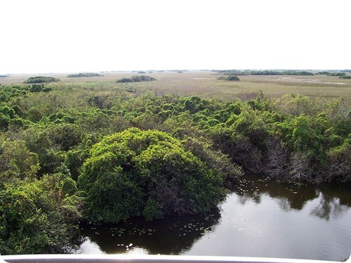 Evergladesoverlook
