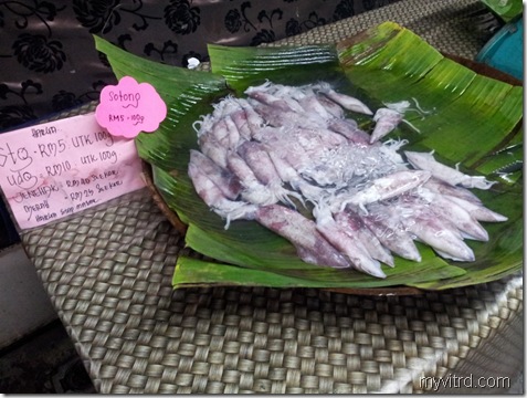 Sotong Segar