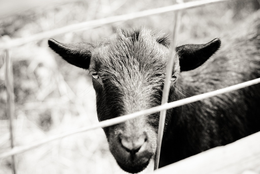 [20120728-IMG_7496-24.jpg]