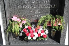 IMG_2951 IMG_2951
