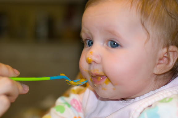 This is a great photo, aside from me getting the wrong eye in focus... :-(