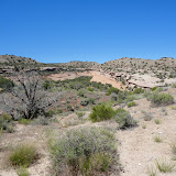 DSC00066.JPG
