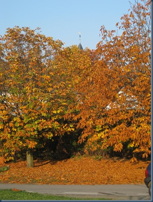 morgenbilder 002