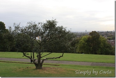 Alexandra Palace I 012