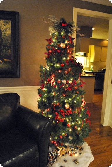 DSC_0029_picnik