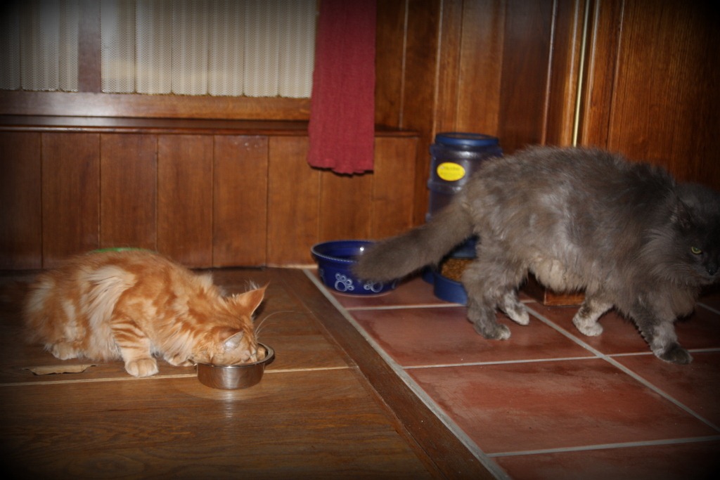 [IMG_1383%255B3%255D.jpg]