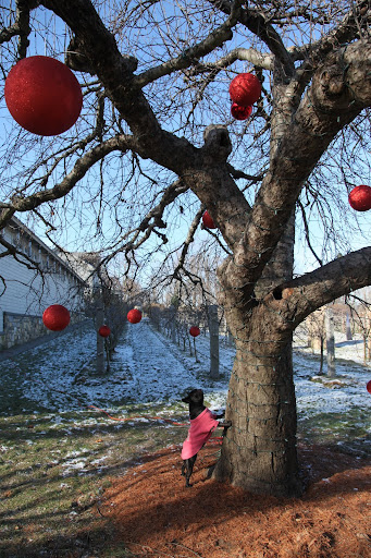 Sharkey, maybe they think that we'll slack off with the chasing by decorating the tree so nicely for the holidays.  You know, peace on earth and good will towards squirrels?