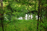 DSC_4119.JPG Photo