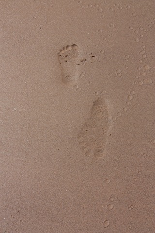 [GrandCanyontrip270.jpg]