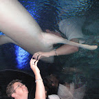 KLCC Aquaria