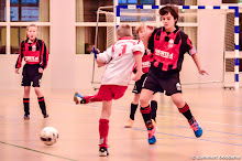SEIZOEN 2014-2015 - WVV E2 - 10 JAN - WVV E2 - ZAAL COMPETITIE