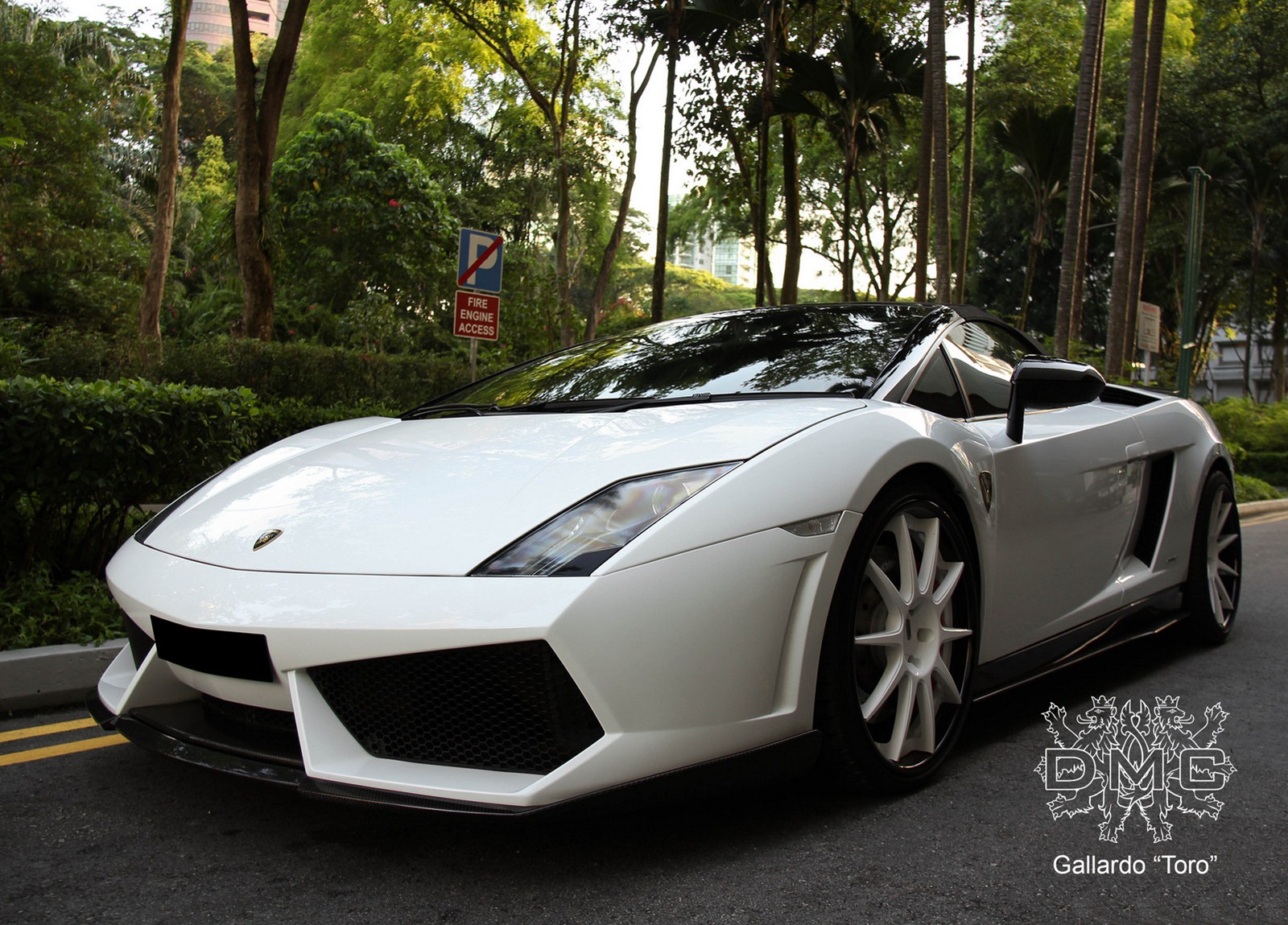 [DMC-Toro-Gallardo-2_1%255B2%255D.jpg]