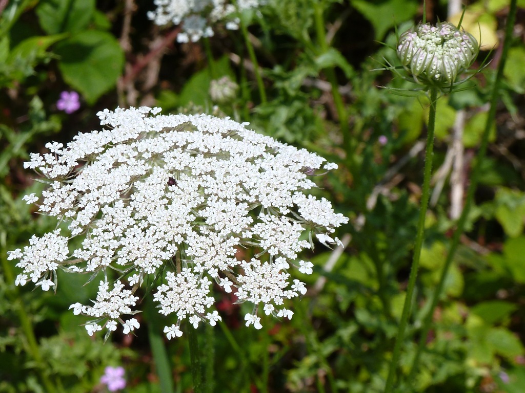 [totnes%2520014%255B9%255D.jpg]