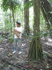 Our guide showing off where a jaguar nearly took off his arm (jokes). But he was explaining when the jaguars are stalking you in the jungle how you can climb into the "shelter" under the roots of larger walking palm trees. This one was too small to have an area a person could climb into.