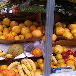 Miami- Little Haiti Farmers Market- 1/28/2012