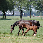 DSC_6881.JPG