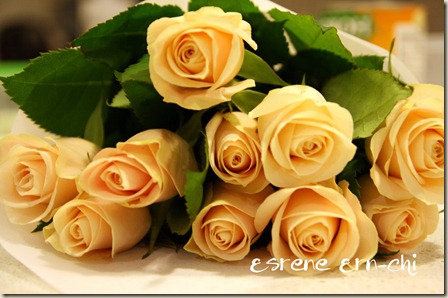 IMG_3810 IMG_3810
